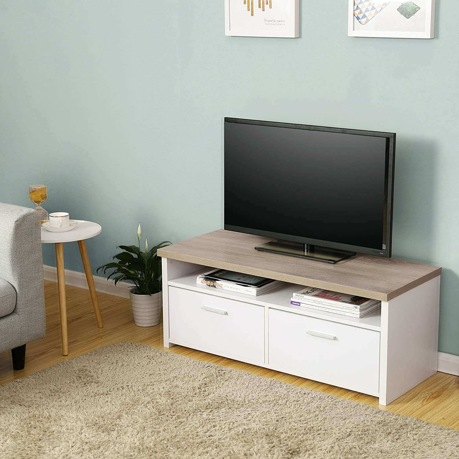 Lynton TV Cabinet, TV Stand with Shelf and Hinged Doors,
