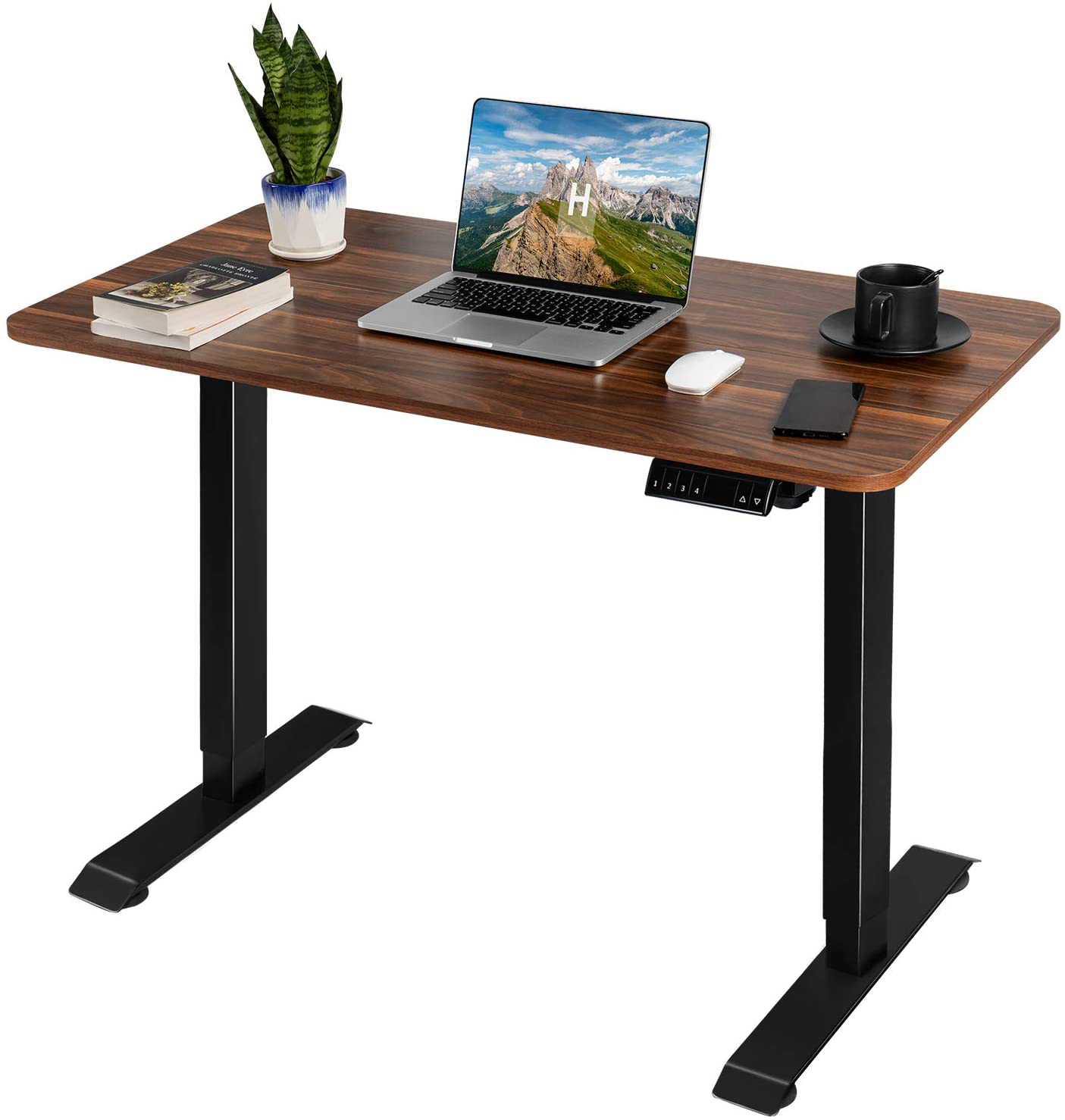 Sit Stand Walnut Desk Height Adjustable Electric Industrial Style