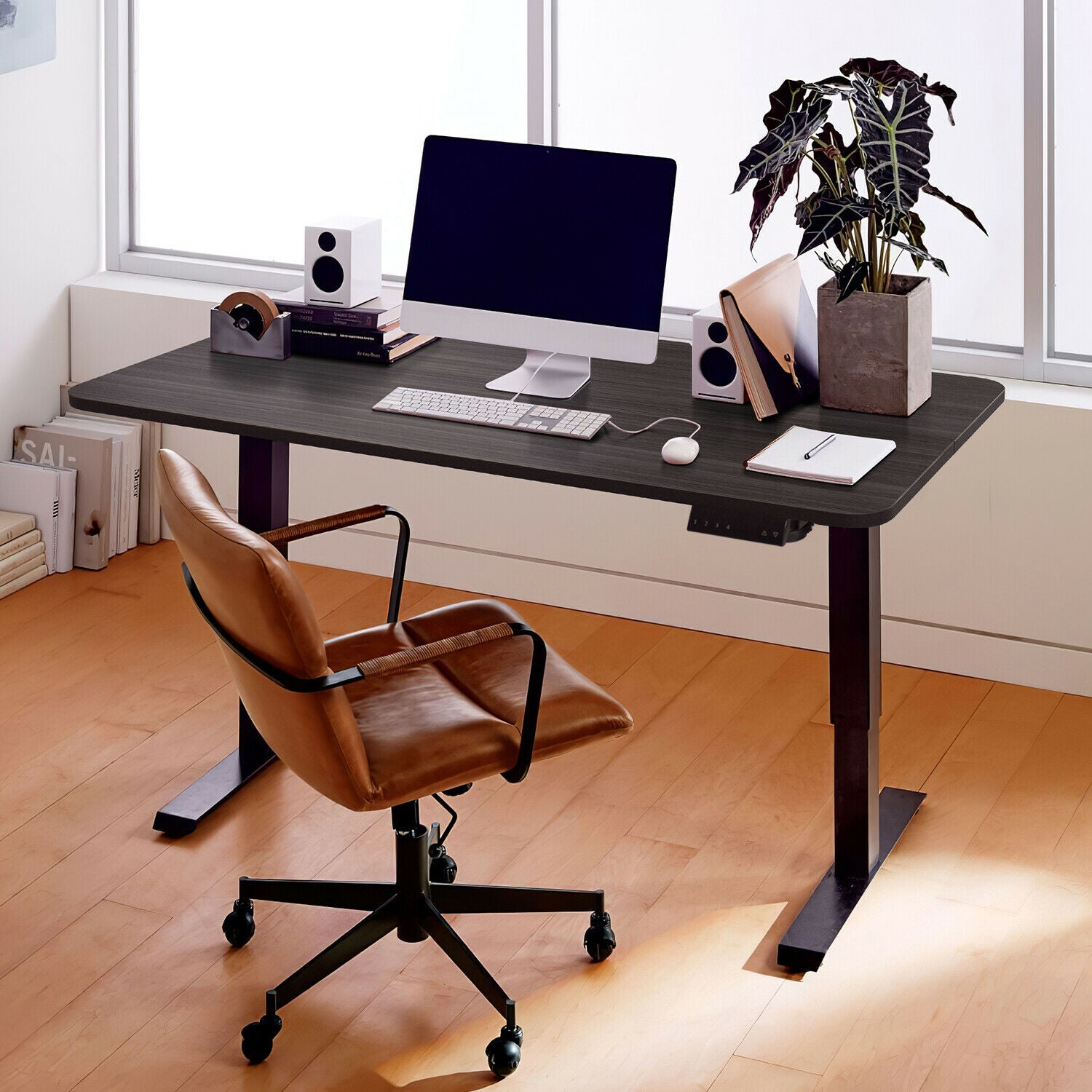 Electric Height Adjustable Desk in Walnut, Grey, Black